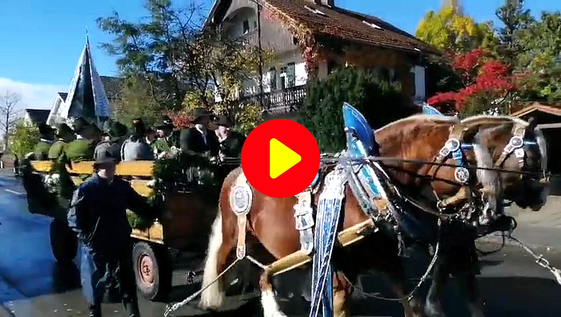 Anklicken um Video abzuspielen